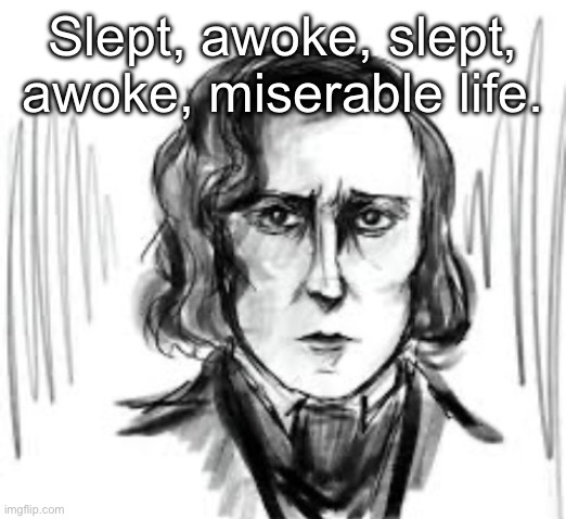 Yet another Chopin template ough | Slept, awoke, slept, awoke, miserable life. | image tagged in yet another chopin template ough | made w/ Imgflip meme maker