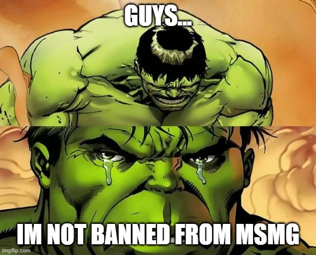 sad | GUYS... IM NOT BANNED FROM MSMG | image tagged in hulk starting to forget,sad | made w/ Imgflip meme maker