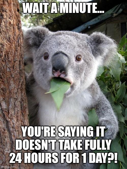 It's actually true | WAIT A MINUTE... YOU'RE SAYING IT DOESN'T TAKE FULLY 24 HOURS FOR 1 DAY?! | image tagged in memes,surprised koala,after hours,funny | made w/ Imgflip meme maker
