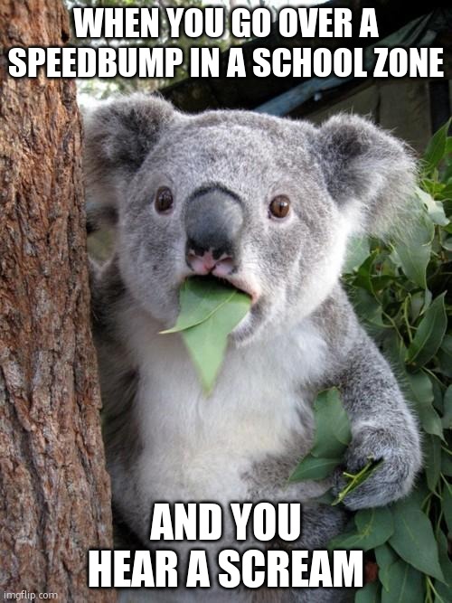 Surprised Koala Meme | WHEN YOU GO OVER A SPEEDBUMP IN A SCHOOL ZONE; AND YOU HEAR A SCREAM | image tagged in memes,surprised koala | made w/ Imgflip meme maker