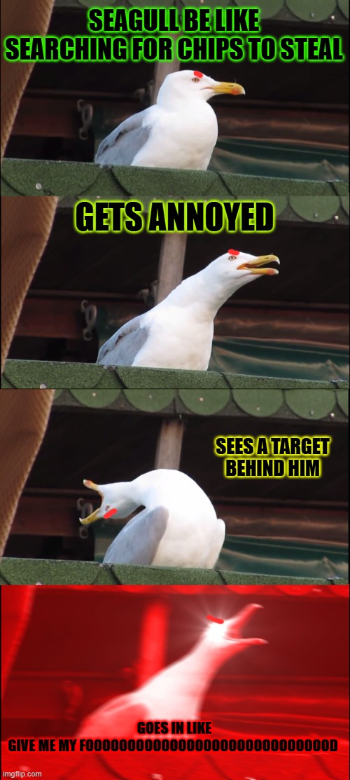 seagull be like searching for chips to steal | SEAGULL BE LIKE SEARCHING FOR CHIPS TO STEAL; GETS ANNOYED; SEES A TARGET BEHIND HIM; GOES IN LIKE

GIVE ME MY FOOOOOOOOOOOOOOOOOOOOOOOOOOOOOD | image tagged in memes,inhaling seagull | made w/ Imgflip meme maker