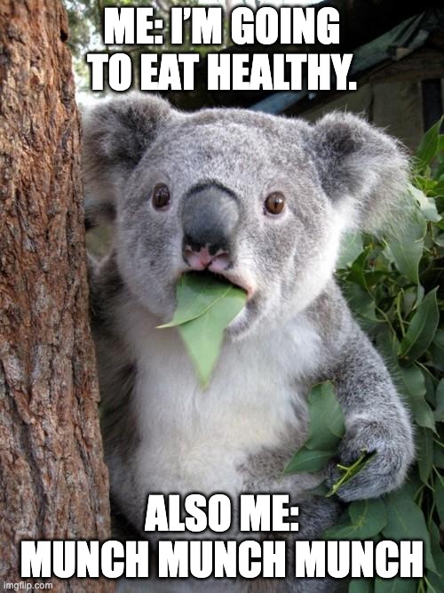 Ill eat healthy... | ME: I’M GOING TO EAT HEALTHY. ALSO ME: MUNCH MUNCH MUNCH | image tagged in memes,surprised koala | made w/ Imgflip meme maker