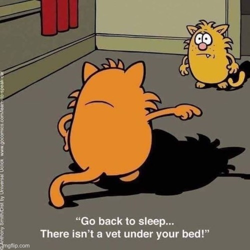 Learn to Speak Cat | image tagged in cats,comics,learn to speak cat,father and son,vet under the bed,scared | made w/ Imgflip meme maker