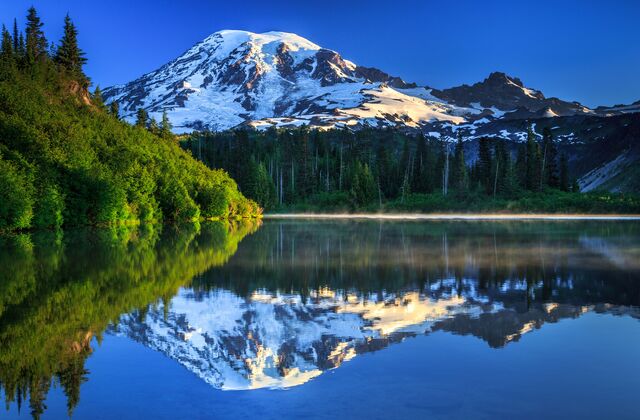 Scene Blank Meme Template