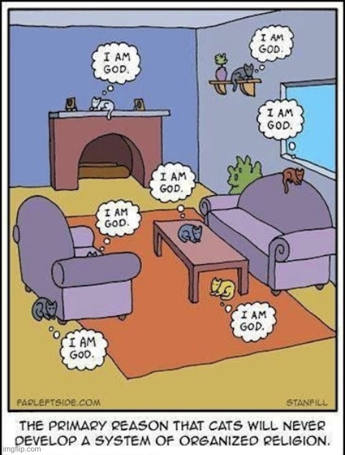 Maybe some of them think that way… | image tagged in cats,comics,farleftside,selfish | made w/ Imgflip meme maker