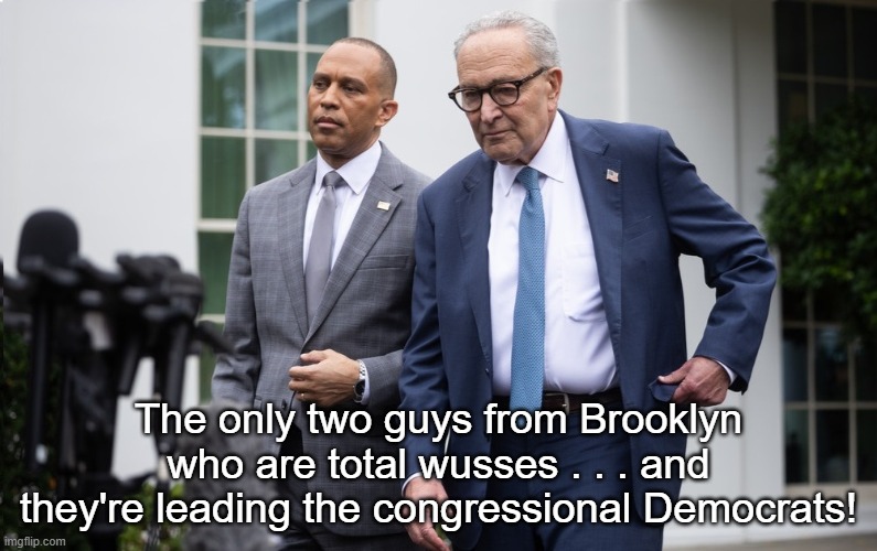 The Brooklyn Boys | The only two guys from Brooklyn who are total wusses . . . and they're leading the congressional Democrats! | image tagged in hakeem jeffries,chuck schumer,brooklyn,wusses,incompetent democrats | made w/ Imgflip meme maker