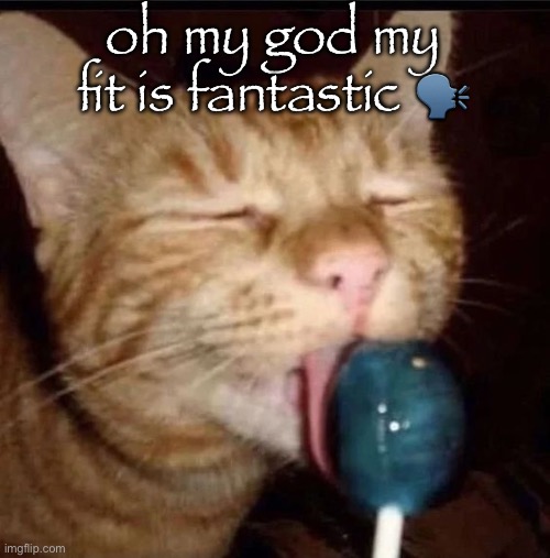 silly goober 2 | oh my god my fit is fantastic 🗣️ | image tagged in silly goober 2 | made w/ Imgflip meme maker