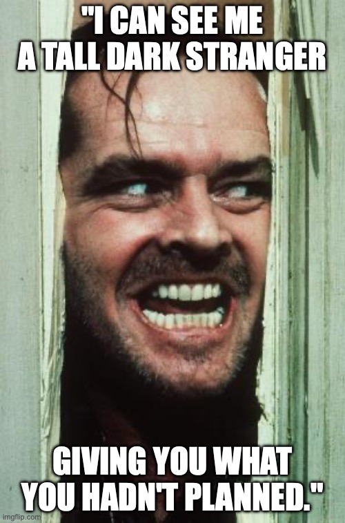 Here's Johnny Meme | "I CAN SEE ME A TALL DARK STRANGER; GIVING YOU WHAT YOU HADN'T PLANNED." | image tagged in memes,here's johnny | made w/ Imgflip meme maker