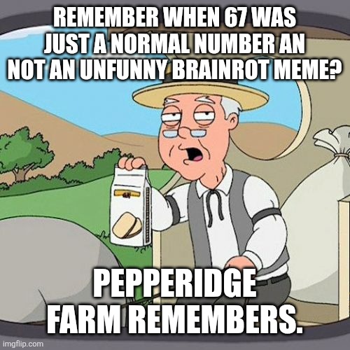 I don't even understand why people find it funny nowadays. | REMEMBER WHEN 67 WAS JUST A NORMAL NUMBER AN NOT AN UNFUNNY BRAINROT MEME? PEPPERIDGE FARM REMEMBERS. | image tagged in memes,pepperidge farm remembers | made w/ Imgflip meme maker