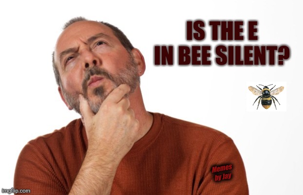 Hmm | IS THE E IN BEE SILENT? Memes by Jay | image tagged in pondering that,i wonder,spelling | made w/ Imgflip meme maker