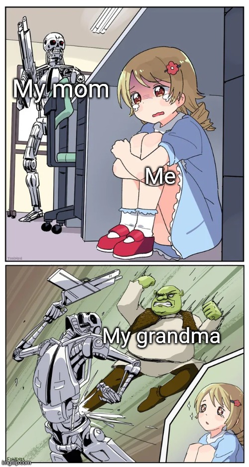 Shrek obliterating terminator hunting anime girl | My mom; Me; My grandma | image tagged in shrek obliterating terminator hunting anime girl | made w/ Imgflip meme maker