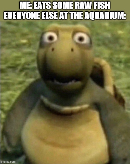 I wonder why everybody was staring at me | ME: EATS SOME RAW FISH
EVERYONE ELSE AT THE AQUARIUM: | image tagged in turtle from over the hedge,funny,memes,dark humor | made w/ Imgflip meme maker