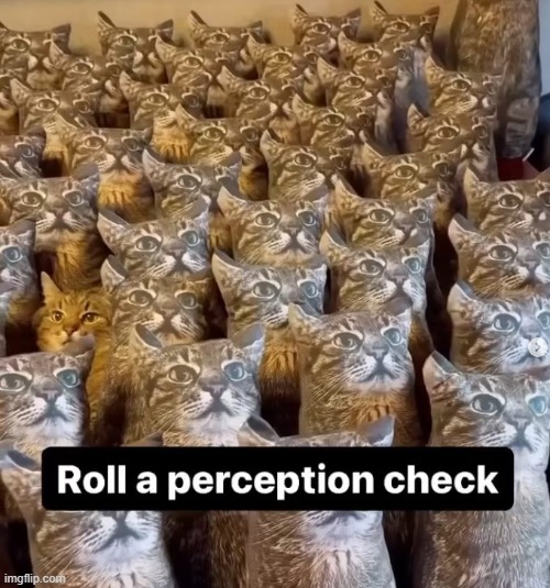Hidden | image tagged in cats,pillows,impostor | made w/ Imgflip meme maker