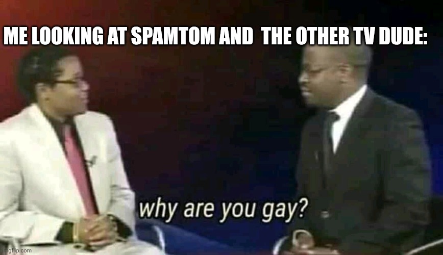 Why are you gay? | ME LOOKING AT SPAMTOM AND  THE OTHER TV DUDE: | image tagged in why are you gay | made w/ Imgflip meme maker