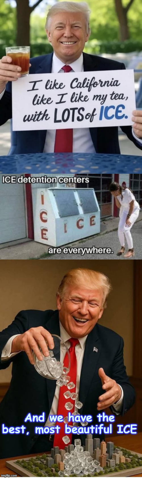 LOTS of ICE | And we have the best, most beautiful ICE | image tagged in president trump,keeping campaign promises,no one is above the law | made w/ Imgflip meme maker
