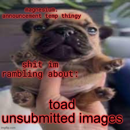 pug temp | toad unsubmitted images | image tagged in pug temp | made w/ Imgflip meme maker