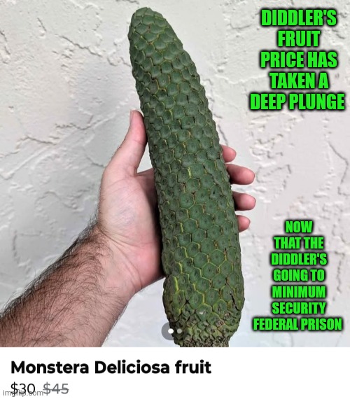 Funny | DIDDLER'S FRUIT PRICE HAS TAKEN A DEEP PLUNGE; NOW THAT THE DIDDLER'S GOING TO MINIMUM SECURITY FEDERAL PRISON | image tagged in funny,p diddy,diddy,fruit,price | made w/ Imgflip meme maker