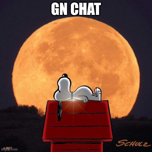 here comes SHADOW_REALM_MONSTER | GN CHAT | image tagged in goodnight | made w/ Imgflip meme maker