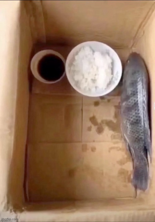 my fish is not eating anything guys | made w/ Imgflip meme maker