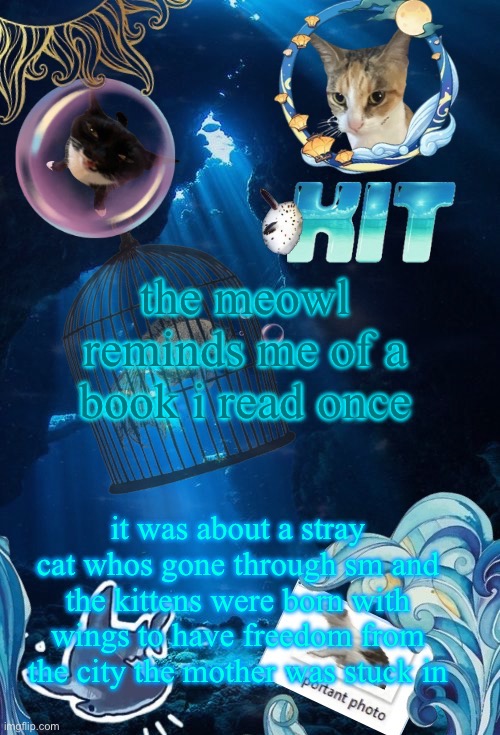 silly announcement template by asriel | the meowl reminds me of a book i read once; it was about a stray cat whos gone through sm and the kittens were born with wings to have freedom from the city the mother was stuck in | image tagged in silly announcement template by asriel | made w/ Imgflip meme maker