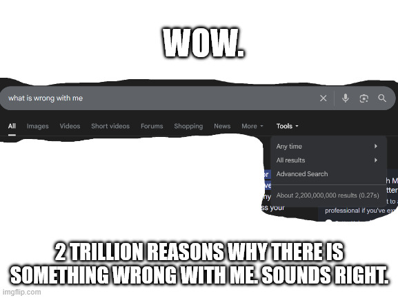google has some good points | WOW. 2 TRILLION REASONS WHY THERE IS SOMETHING WRONG WITH ME. SOUNDS RIGHT. | image tagged in blank white template | made w/ Imgflip meme maker