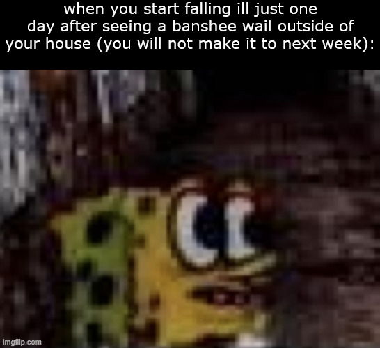 an my 'distressing posts' arc | when you start falling ill just one day after seeing a banshee wail outside of your house (you will not make it to next week): | made w/ Imgflip meme maker