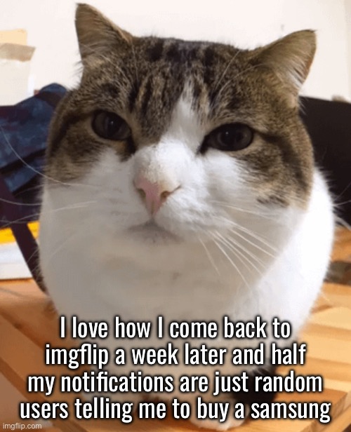 Saw a comment on one of my memes in my notifs that said 3 weeks ago it confused me and I’m tired. Heres the correct version. | I love how I come back to imgflip a week later and half my notifications are just random users telling me to buy a samsung | image tagged in oh the misery original | made w/ Imgflip meme maker