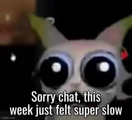 Yeah I’m a certified dumbass | Sorry chat, this week just felt super slow | image tagged in scared car | made w/ Imgflip meme maker