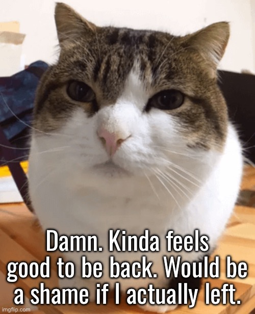 /j unless it happens because I forget this site exists. | Damn. Kinda feels good to be back. Would be a shame if I actually left. | image tagged in oh the misery original | made w/ Imgflip meme maker