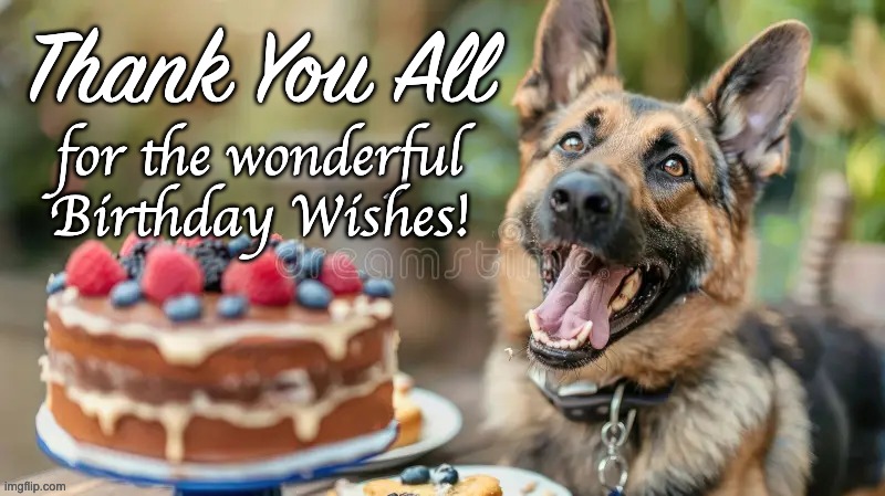 Thank You for Birthday | image tagged in thank you,birthday thanks | made w/ Imgflip meme maker