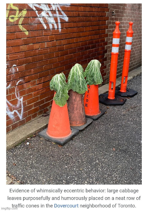 whimsy | made w/ Imgflip meme maker