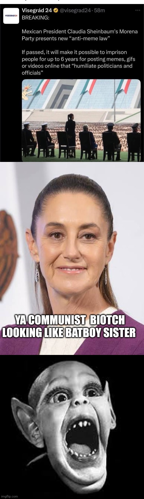 Claudia shienbaum | YA COMMUNIST  BIOTCH LOOKING LIKE BATBOY SISTER | image tagged in claudia shienbaum,wtf | made w/ Imgflip meme maker