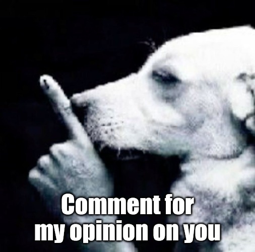 Shh dog | Comment for my opinion on you | image tagged in shh dog | made w/ Imgflip meme maker
