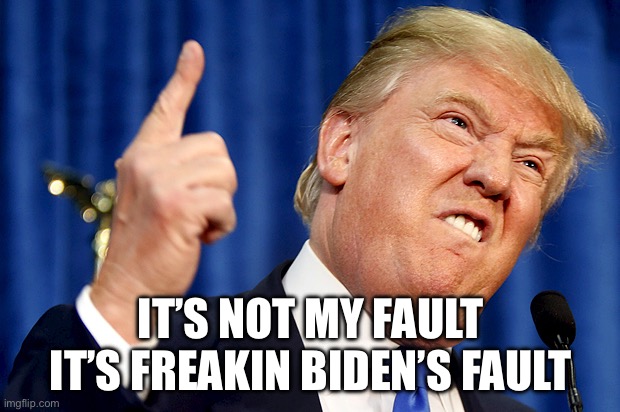 Donald Trump | IT’S NOT MY FAULT
IT’S FREAKIN BIDEN’S FAULT | image tagged in donald trump | made w/ Imgflip meme maker