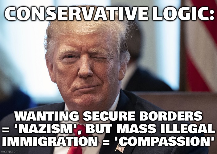 MASS ILLEGAL IMMIGRATION = 'COMPASSION' | CONSERVATIVE LOGIC:; WANTING SECURE BORDERS = 'NAZISM', BUT MASS ILLEGAL IMMIGRATION = 'COMPASSION' | image tagged in conservative logic,compassion,immigration,illegal immigration,anti-religion,secure the border | made w/ Imgflip meme maker