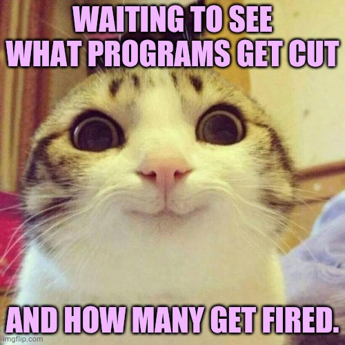 Democrat's Shutdown Strategy Doesn't Seem To Be Going So Well (Part 2) | WAITING TO SEE WHAT PROGRAMS GET CUT; AND HOW MANY GET FIRED. | image tagged in memes,smiling cat,politics,shutdown,cut,you're fired | made w/ Imgflip meme maker