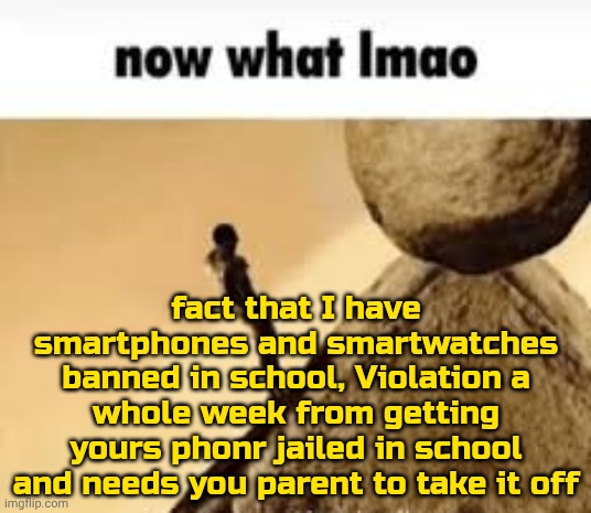 other include cigars and bubble gum | fact that I have smartphones and smartwatches banned in school, Violation a whole week from getting yours phonr jailed in school and needs you parent to take it off | image tagged in now what lmao | made w/ Imgflip meme maker