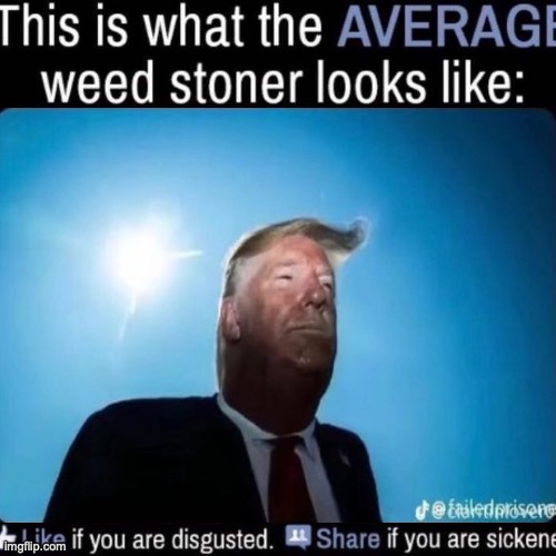 ‼️ | image tagged in what the average weed stoner looks like add your own image | made w/ Imgflip meme maker