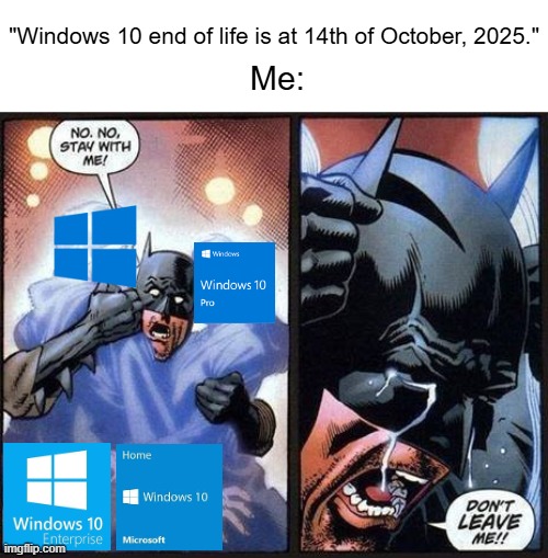 This meme was made on windows 10 | "Windows 10 end of life is at 14th of October, 2025."; Me: | image tagged in batman don't leave me | made w/ Imgflip meme maker