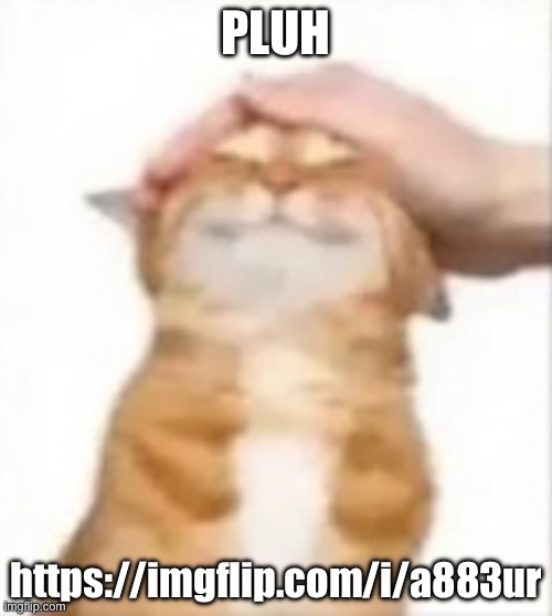 Cat being petted | PLUH; https://imgflip.com/i/a883ur | image tagged in cat being petted | made w/ Imgflip meme maker