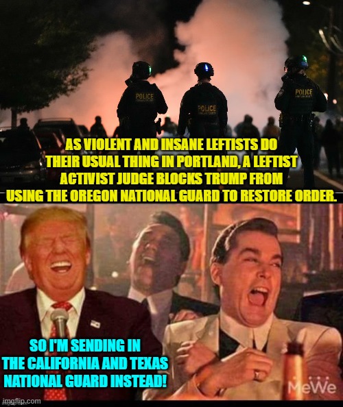 Out thinking nation-hating leftist activist judges is sort of Trump's leisure time hobby. | AS VIOLENT AND INSANE LEFTISTS DO THEIR USUAL THING IN PORTLAND, A LEFTIST ACTIVIST JUDGE BLOCKS TRUMP FROM USING THE OREGON NATIONAL GUARD TO RESTORE ORDER. SO I'M SENDING IN THE CALIFORNIA AND TEXAS NATIONAL GUARD INSTEAD! | image tagged in yep | made w/ Imgflip meme maker
