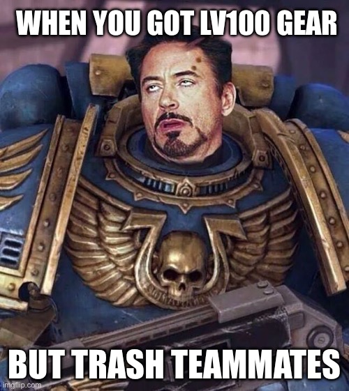 When you got Lv100 Gear but trash teammates | WHEN YOU GOT LV100 GEAR; BUT TRASH TEAMMATES | image tagged in robert downey face warhammer 40k | made w/ Imgflip meme maker