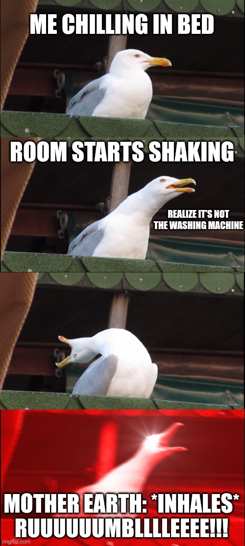 ME CHILLING IN BED ROOM STARTS SHAKING REALIZE IT’S NOT THE WASHING MACHINE MOTHER EARTH: *INHALES* RUUUUUUMBLLLLEEEE!!! | image tagged in memes,inhaling seagull | made w/ Imgflip meme maker