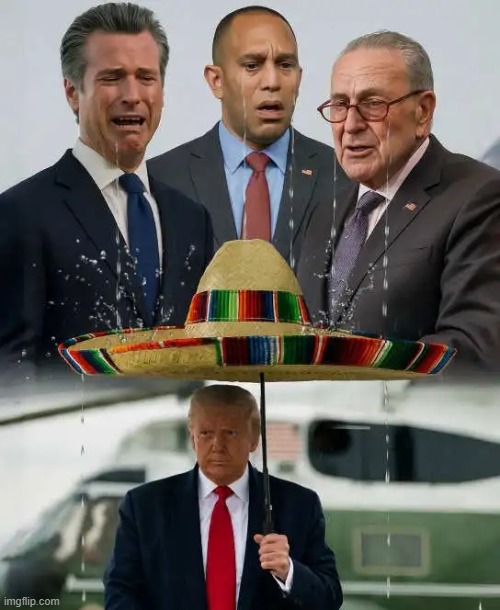 Liberal Tears | image tagged in whiners,complaining,crying democrats,crybabies,liberal tears | made w/ Imgflip meme maker