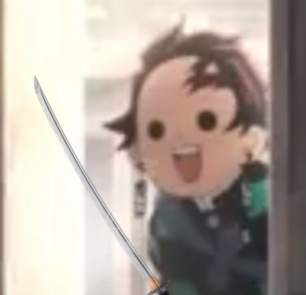 Tanjiro with sword Blank Meme Template
