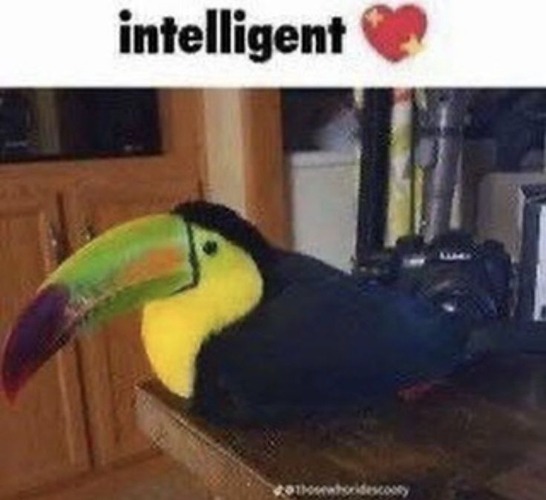 intelligent ❤️ | made w/ Imgflip meme maker