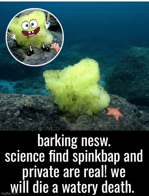barking nesw. science find spinkbap and private are real! we will die a watery death. | made w/ Imgflip meme maker