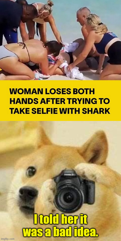 Bad idea | I told her it was a bad idea. | image tagged in doge taking a picture,bad idea | made w/ Imgflip meme maker