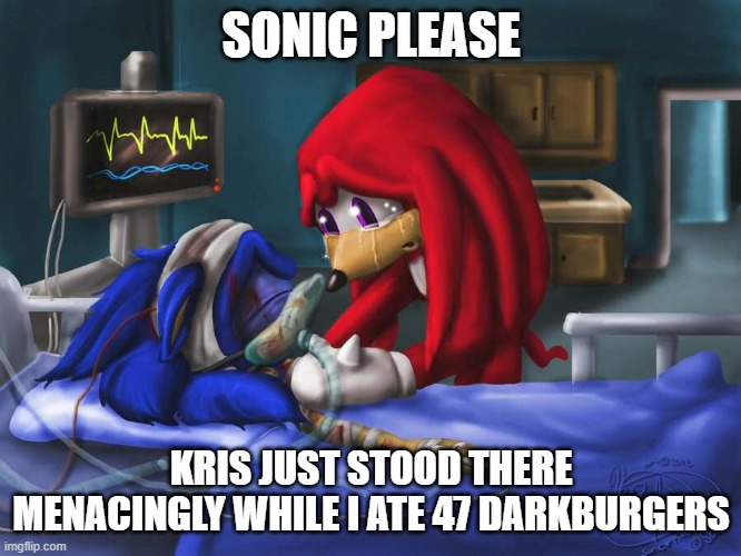 ai made this | SONIC PLEASE; KRIS JUST STOOD THERE MENACINGLY WHILE I ATE 47 DARKBURGERS | image tagged in sonic please | made w/ Imgflip meme maker