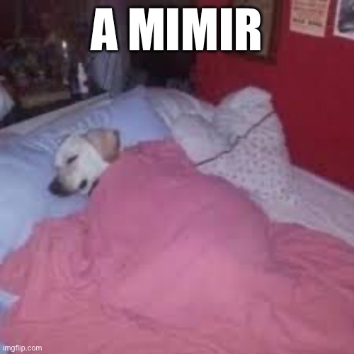 A mimir | A MIMIR | image tagged in a mimir | made w/ Imgflip meme maker